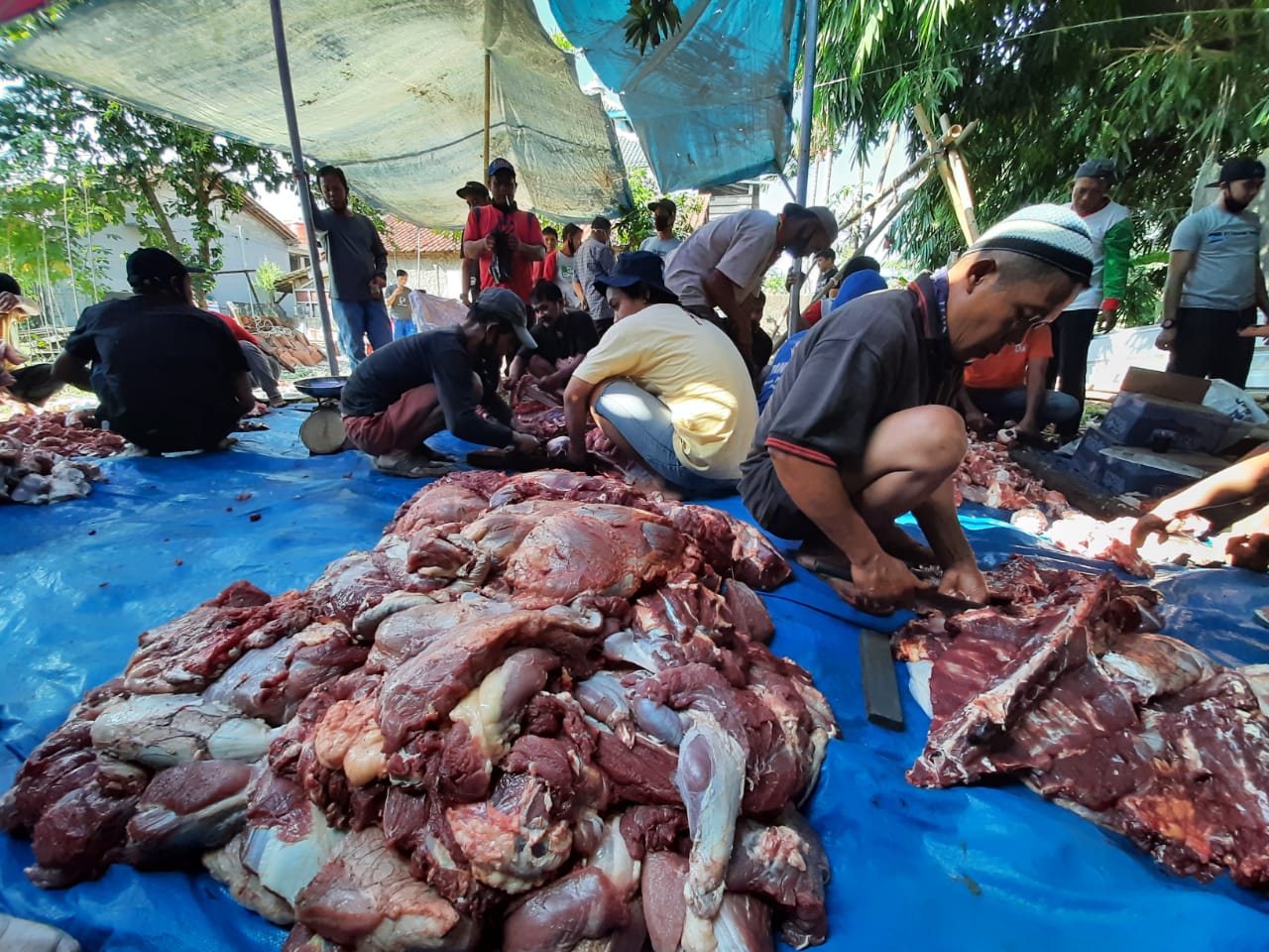 daging-hewan-kurban-untuk-disalurkan-kepada-warga-di-kampung-pabuaran.jpg