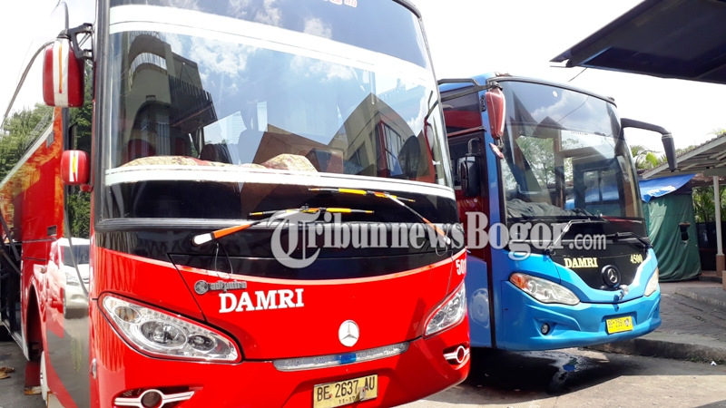 Larangan Mudik, Ini Daftar Rute Bus Damri yang Masih Beroperasi di Bogor