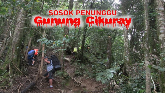 gunung-cikuray_20170104_160522.jpg
