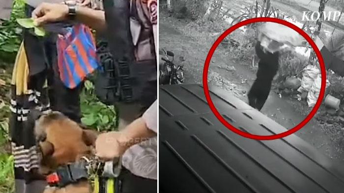 Penampakan 2 Barang Milik Terduga Pembunuh Gadis Penjual Gorengan, Siasat Pelaku Kabur Terbongkar