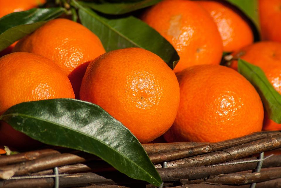 jeruk-mandarin.jpg