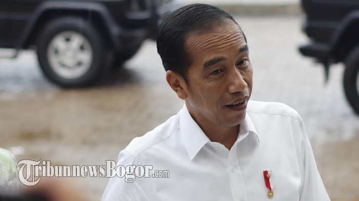 jokowi-dodo.jpg