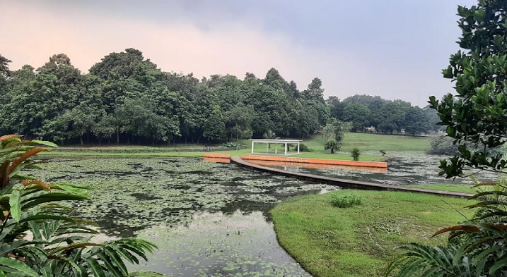 kebun-raya-cibinong.jpg