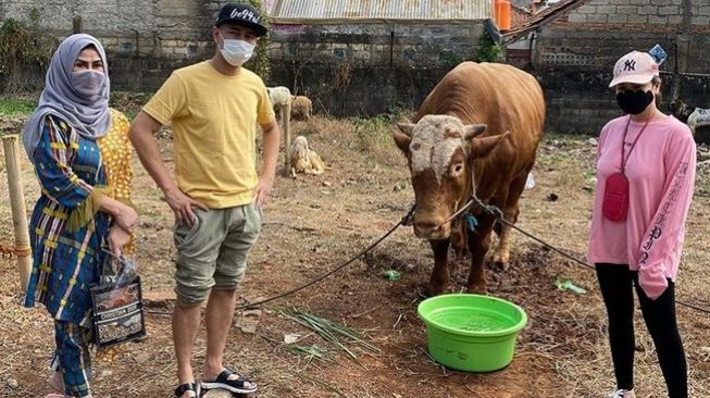 kurban-10-sapi-7-kambing-total-seharga-ini-raffi-ahmad-sampai-ikut-menyembelih.jpg