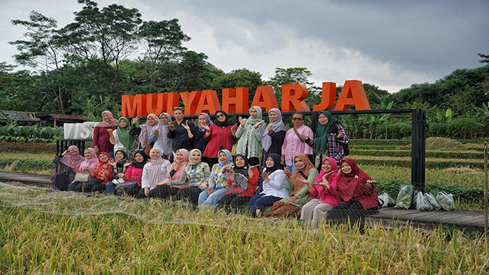 Senyum Semringah Yantie Rachim dan Puluhan Ibu-ibu Panen Padi Organik di Mulyaharja Bogor