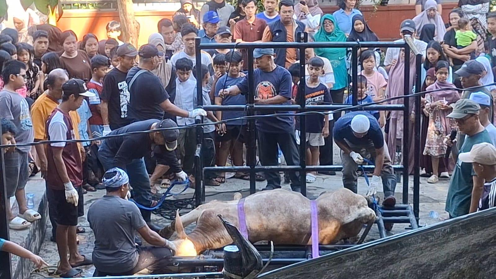 pemotongan-hewan-kurban-di-ipb-baranangsiang.jpg