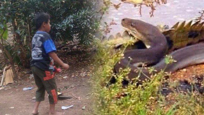 Bocah Cianjur Suka Gigit Kodok dan Ular Sampai Mati, Ibu Kaget Lihat Reaksi Kobra Saat Ditarik Anak