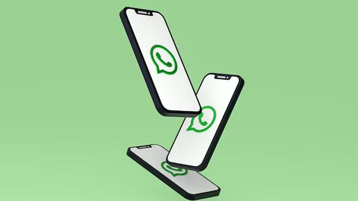 whatsapp-aplikasi-jahat-waspadai.jpg