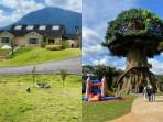 5-Tempat-Wisata-Bogor-yang-Viral-di-TikTok.jpg