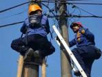 Seekor Lutung Jawa Nyangkut di Tiang Listrik Parungpanjang Bogor, Damkar Lakukan Evakuasi