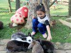 Bermain-Kelinci-Cibaliung-Happy-Land.jpg