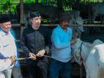 Dedie-Rachim-serangkan-sapi.jpg