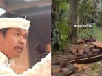 Dugaan-penebangan-pohon.jpg