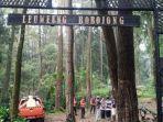 Gerbang-masuk-kawasan-hutan-yang-menjadi-lokasi-orang-hilang.jpg