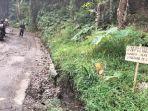 Jalan-rusa-di-pamijahan-bogor.jpg