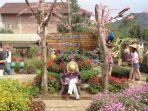 Kebun-Begonia-Lembang.jpg