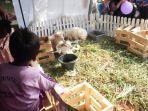 Mini-zoo-yang-dihadirkan-oleh-Diskanak-Kabupaten-Bogor-untuk-memeriahkan.jpg