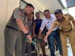 Momen-Satpol-PP-dan-Forkopimcam-Bogor-Utara-saat-miras.jpg