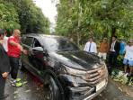 Pohon-berjenis-Ki-Bolong-di-Simpang-Kantor-Batu-Paledang-Kecamatan-Bogor-Tengah-Kota.jpg