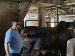 Presiden-Prabowo-Subianto-membeli-seekor-sapi-di-Barokah-Farm.jpg