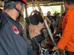 Proses-evakuasi-sapi-yang-terperosok-ke-dalam-sumur-di-wilayah-Kelurahan.jpg