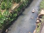 Saluran-air-yang-diduga-tercemar-karena-limbah-pabrik-di-kawasan-ruko-Putri-Indah-Estate-PIE.jpg