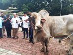 Sapi-Kurban-Prabowo-Subianto-untuk-warga-Babakan-Madang-Kabupaten-Bogor.jpg