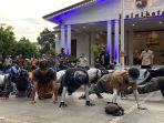 Satpol-PP-Kota-Bogor-merazia-pengamen-manusia-silver-hingga-badut-Jumat-1652025.jpg