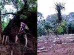 Sejumlah-pegiat-alam-terkejut-melihat-pepohonan-rindang.jpg