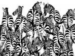 ada-musnag-bersembunyi-di-balik-kuda-zebra_20160712_085829.jpg