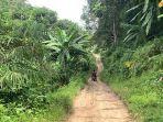 akses-jalan-menuju-kampung-tersembunyi-di-rumpin.jpg