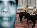 anjing-dibunuh_20160823_224322.jpg