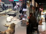 anjing_20180129_150135.jpg