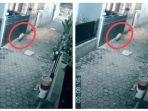 babi-ngepet-CCTV.jpg