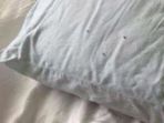 bantal_20161226_150916.jpg