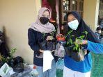 bibit-tanaman-ipb.jpg