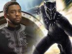 black-panther_20180223_103130.jpg