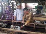 bsm-kambing.jpg