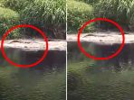 buaya_20180927_212304.jpg