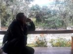 calon-wakil-bupati-bogor-iwan-setiawan_20180626_160335.jpg