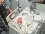 cockpit-voice-recorder-cvr-milik-pesawat-lion-air-jt-610.jpg