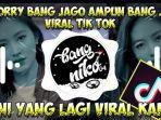 download-lagu-tiktok-ampun-bang-jago-lirik-lagu-sorry-bang-jago-ampun-bang-jago.jpg