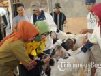 hewan-kurban_20170824_220528.jpg