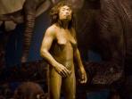homo-floresiensis_20160216_215753.jpg