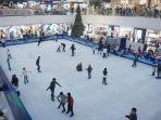 ice-skating-4122022.jpg