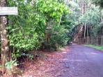 jalan-cifor_20151108_110227.jpg