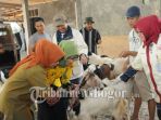 kambing_20170829_143609.jpg