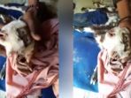 kambing_20180313_204918.jpg