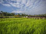 kampung-mulyaharja.jpg