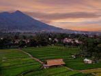 kampung-tematik-mulyaharja-bogorr.jpg